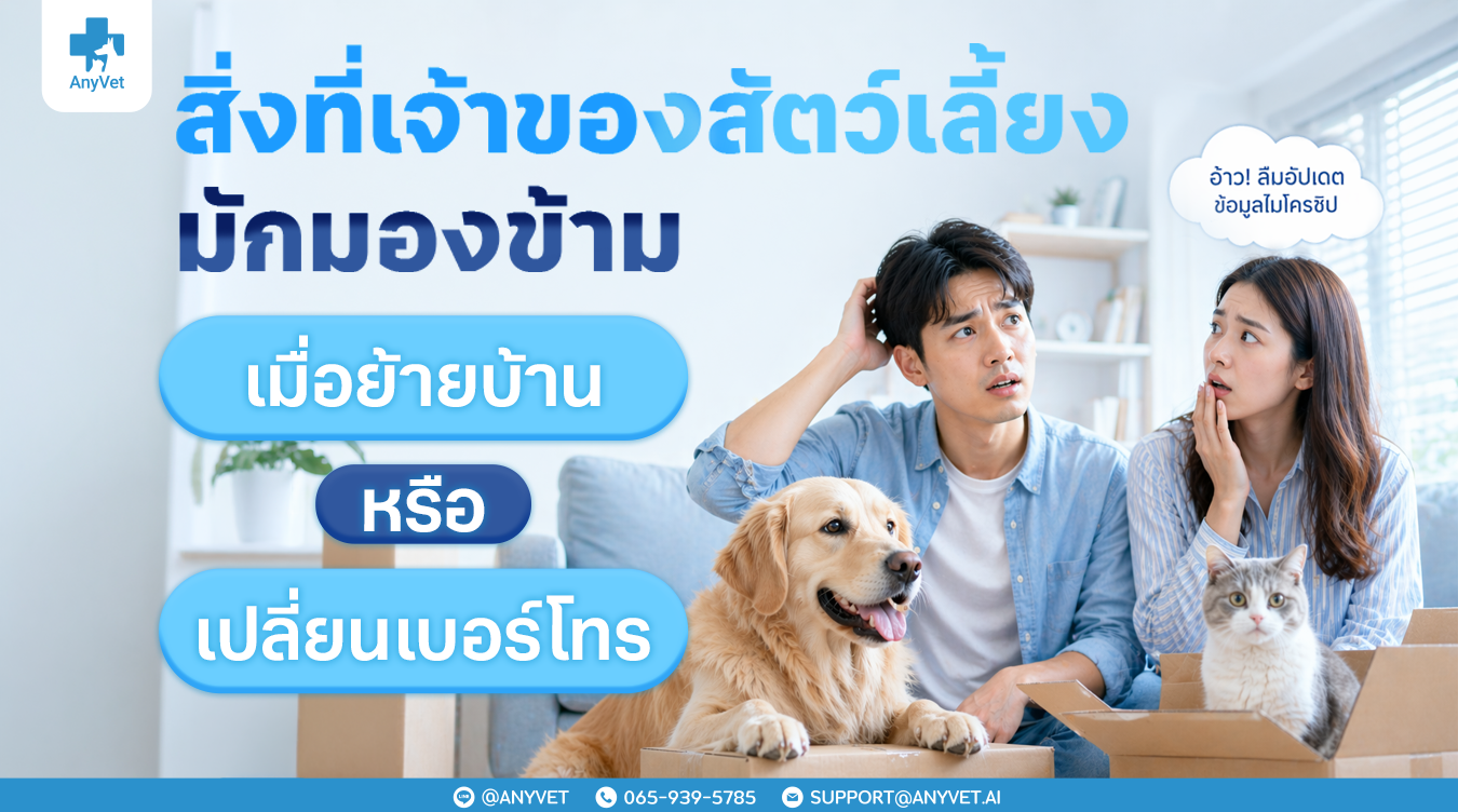 What pet owners often overlook when “moving house or changing phone numbers”